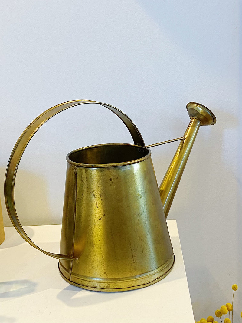 gold alloy watering can